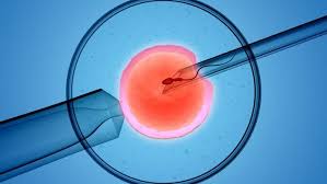 Best IVF Center in Patna with our doctor expertise and success rate