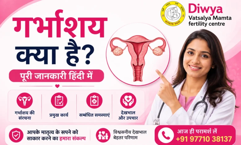 Uterus Meaning in Hindi गर्भाशय क्या है संरचना, कार्य और Normal Size