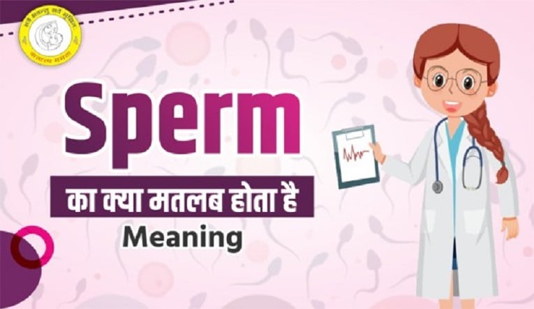 Sperm-Meaning-in-Hindi-जानिए-शुक्राणु-क्या-है-लक्षण-और-उपचार.