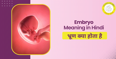 Embryo Meaning in Hindi