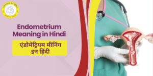 Endometrium Meaning In Hindi: एंडोमेट्रियम क्या है? कारण और इलाज