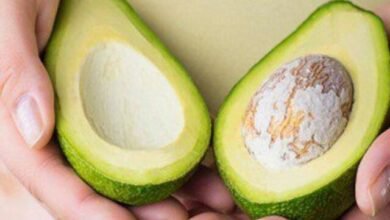 Can i Eat Avocado During Pregnancy