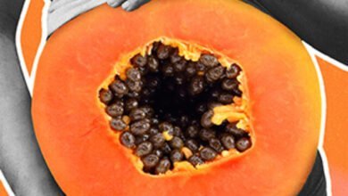 is papaya good for pregnancy