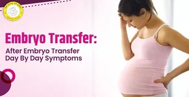 Positive Signs After Embryo Transfer: A Quick Guide
