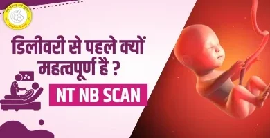 NT NB Scan in Pregnancy A Complete Guide to NT Scan