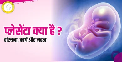 Placenta Meaning in Hindi प्लेसेंटा क्या है कार्य और महत्व