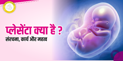 Placenta Meaning in Hindi प्लेसेंटा क्या है कार्य और महत्व