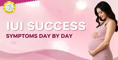 IUI Success Symptoms Day by Day Early Pregnancy Signs