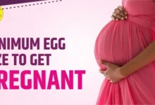 Minimum Egg Size to Get Pregnant