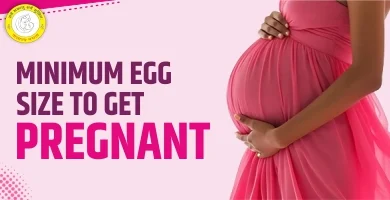 Minimum Egg Size to Get Pregnant - Dr. Rashmi Prasad, Patna